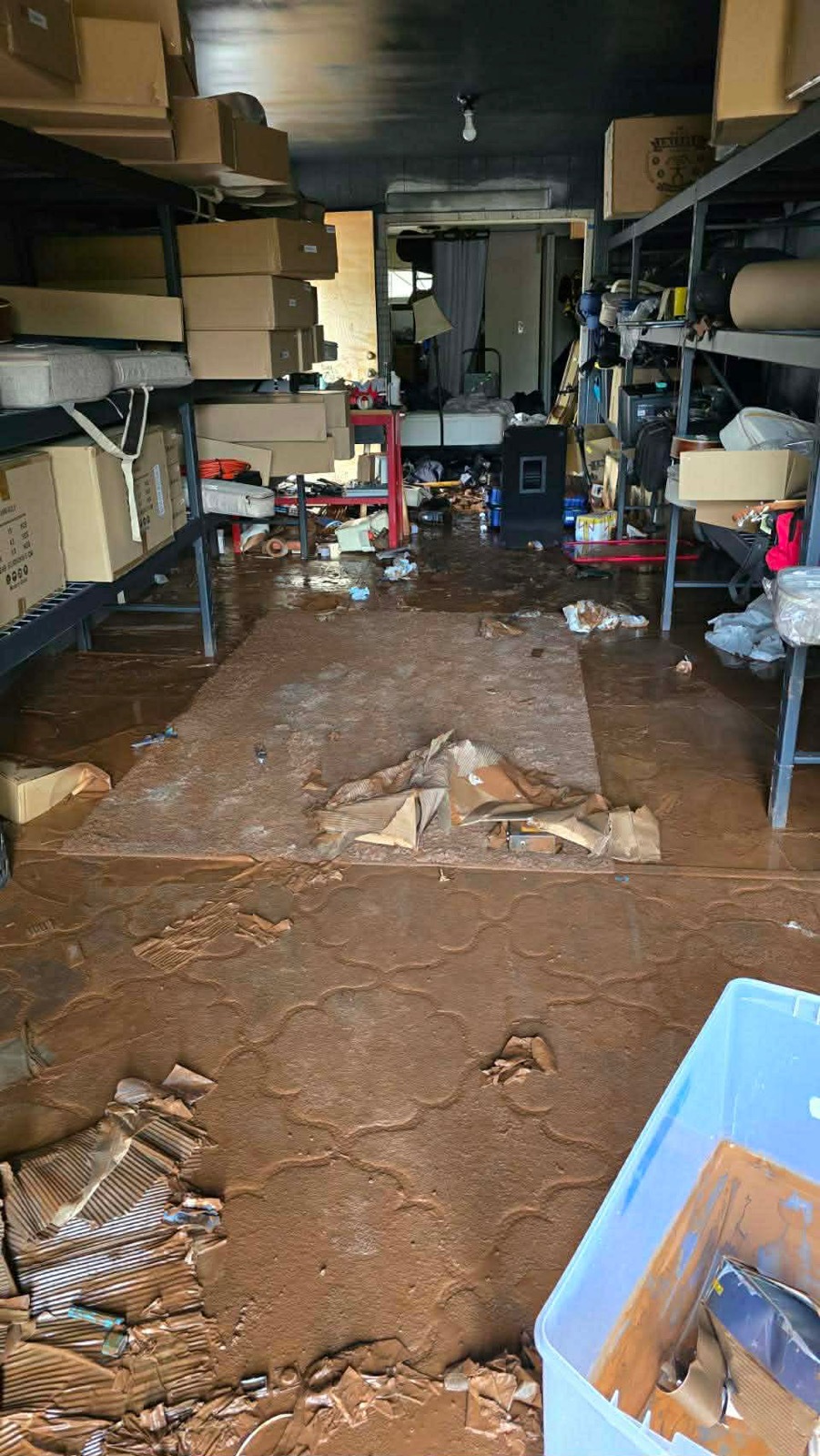 �ڴ��աۥϥ磻�峲�ٱ�ץ���������