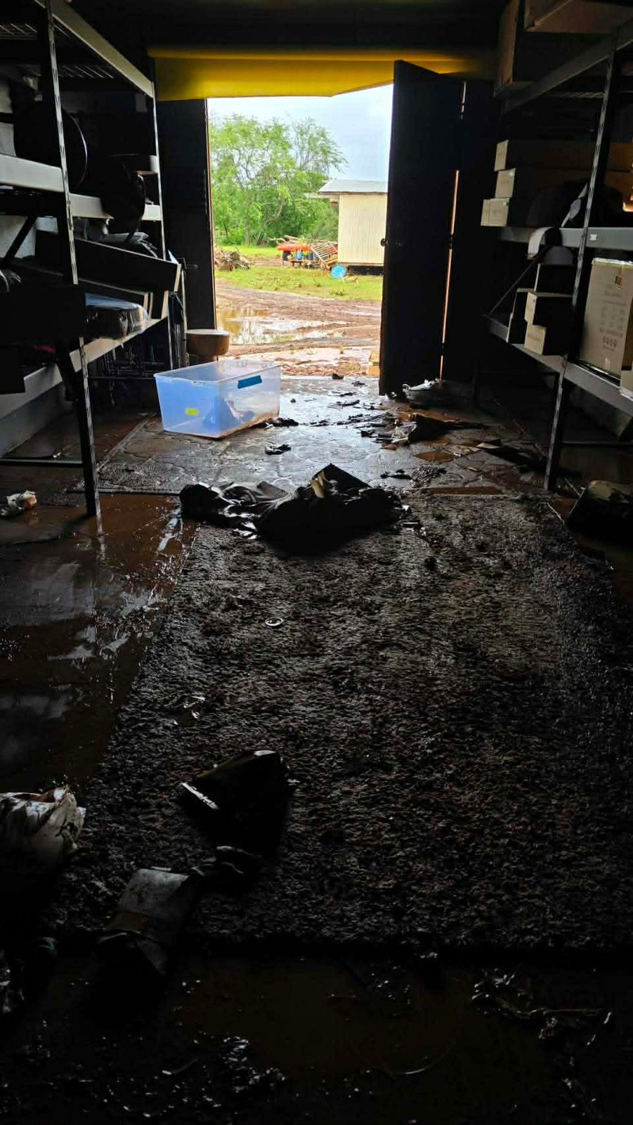 �ڴ��աۥϥ磻�峲�ٱ�ץ���������