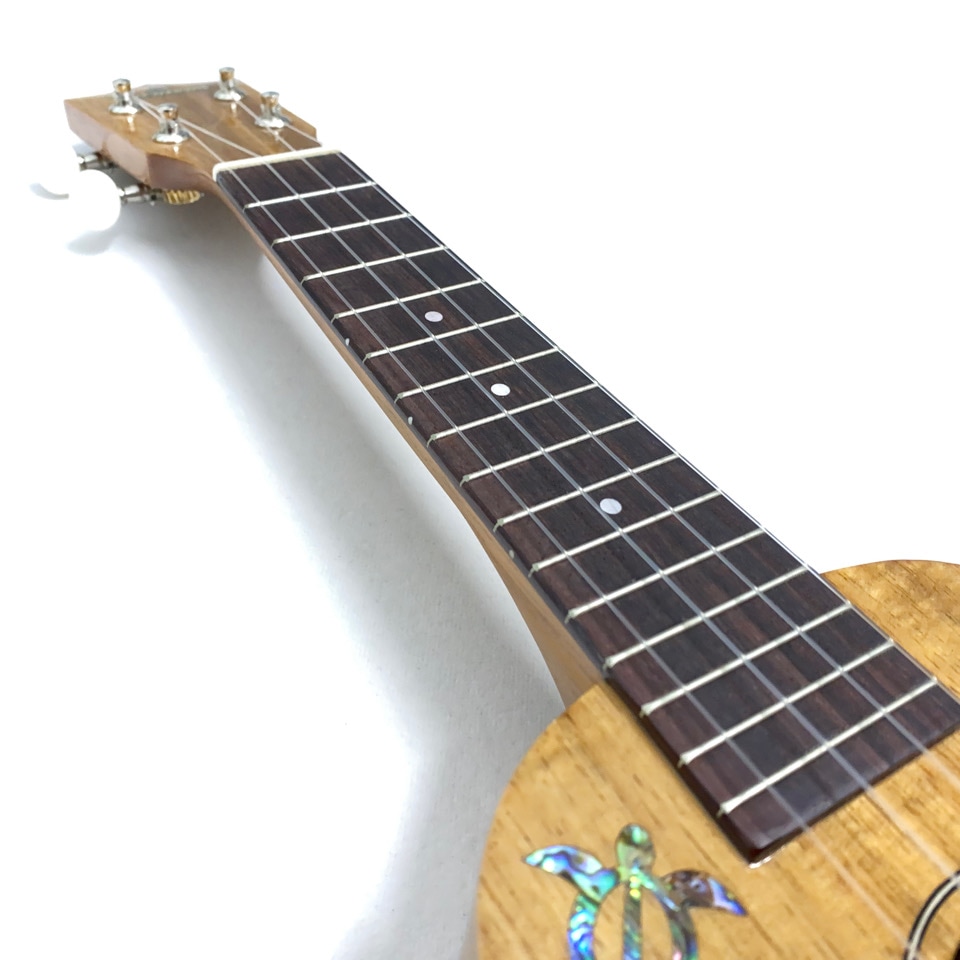 ���佪λ��Famous��FS-5G/HOAV  �ۥ̥���쥤��ǥ�