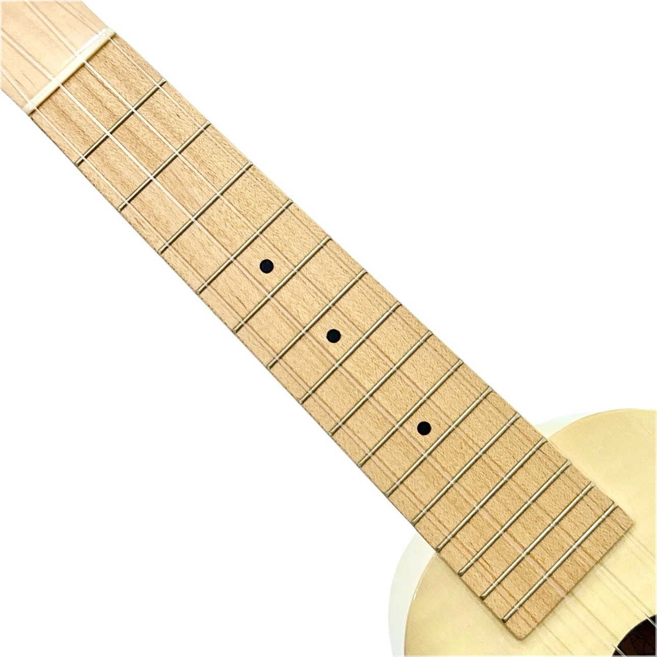 ��Famous��FS-S10P/N ���ץ�Υ�����