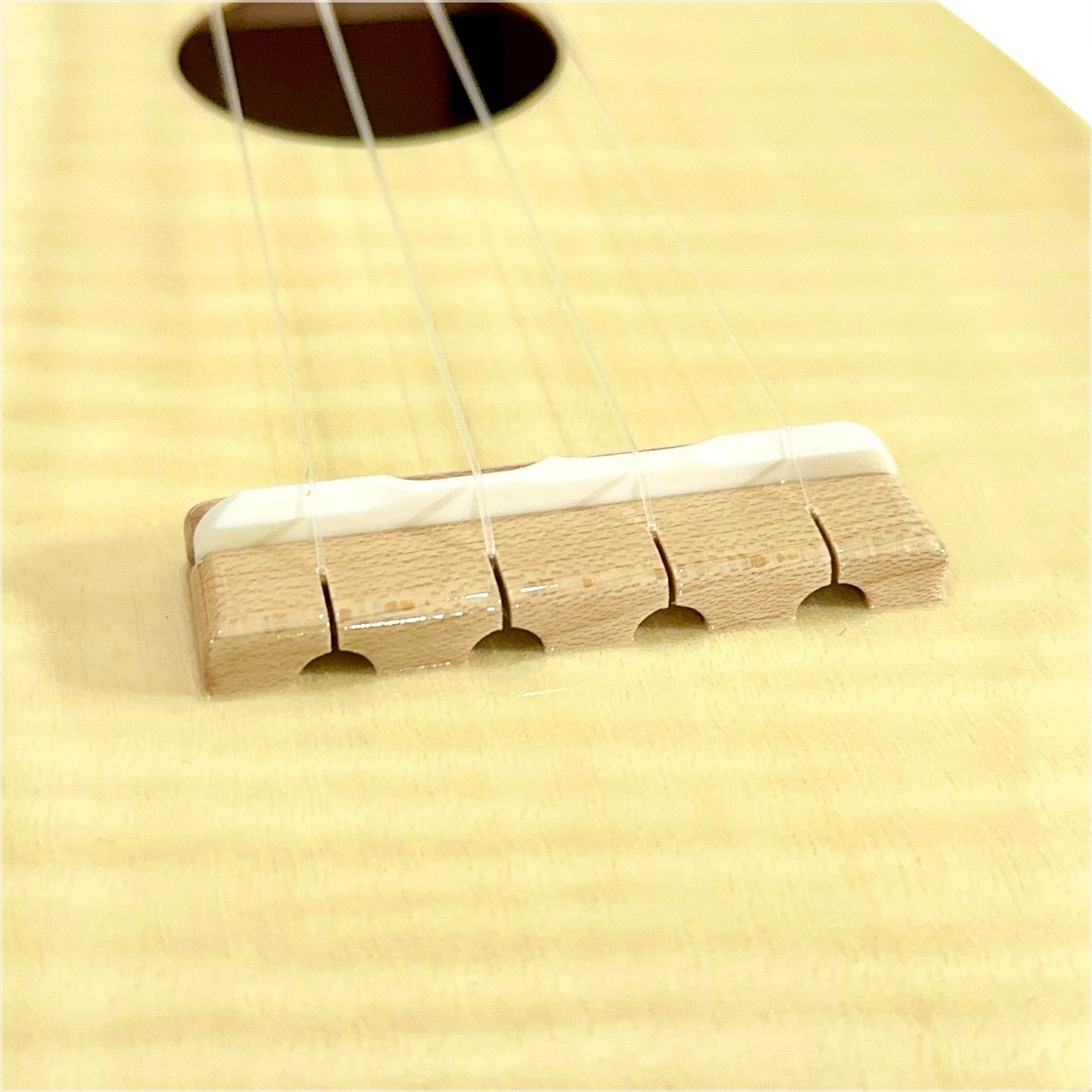 ��Famous��FS-S10P/N ���ץ�Υ�����