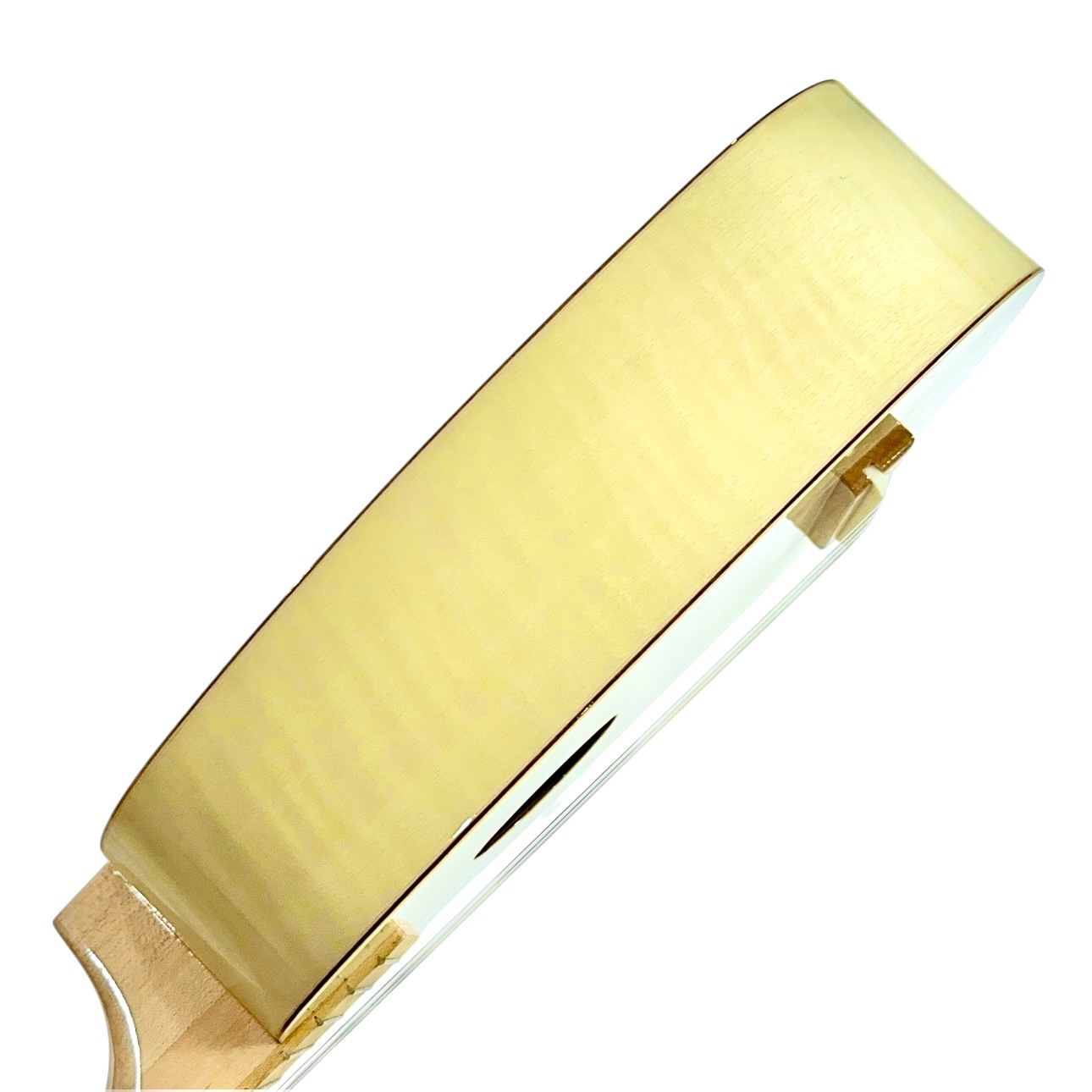 ��Famous��FS-S10P/N ���ץ�Υ�����