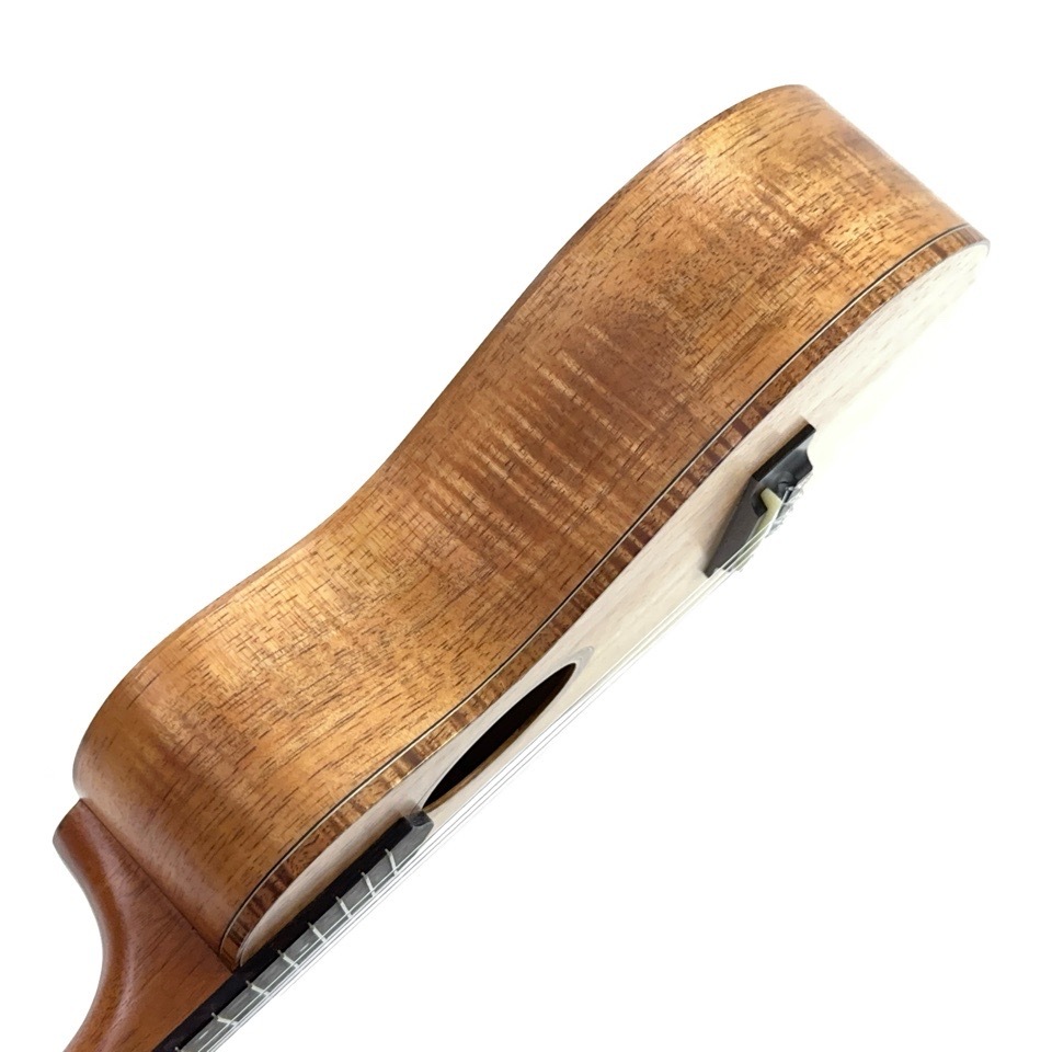 ڻ͸ˡMC381 #25457 󥵡ȥ