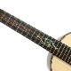 SeilenSLTS-890Es #1822 ƥʡ