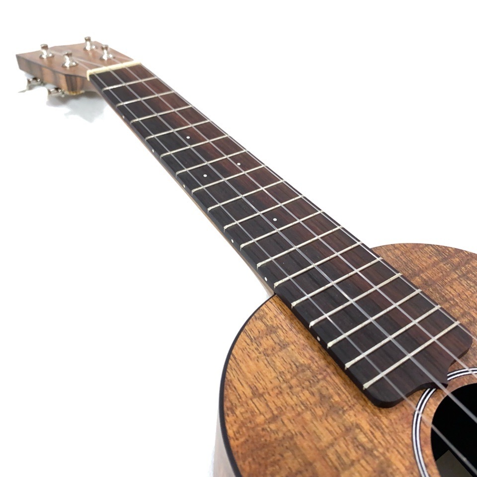 MartinOXK Concert #11251 󥵡ȥ(ڥ)