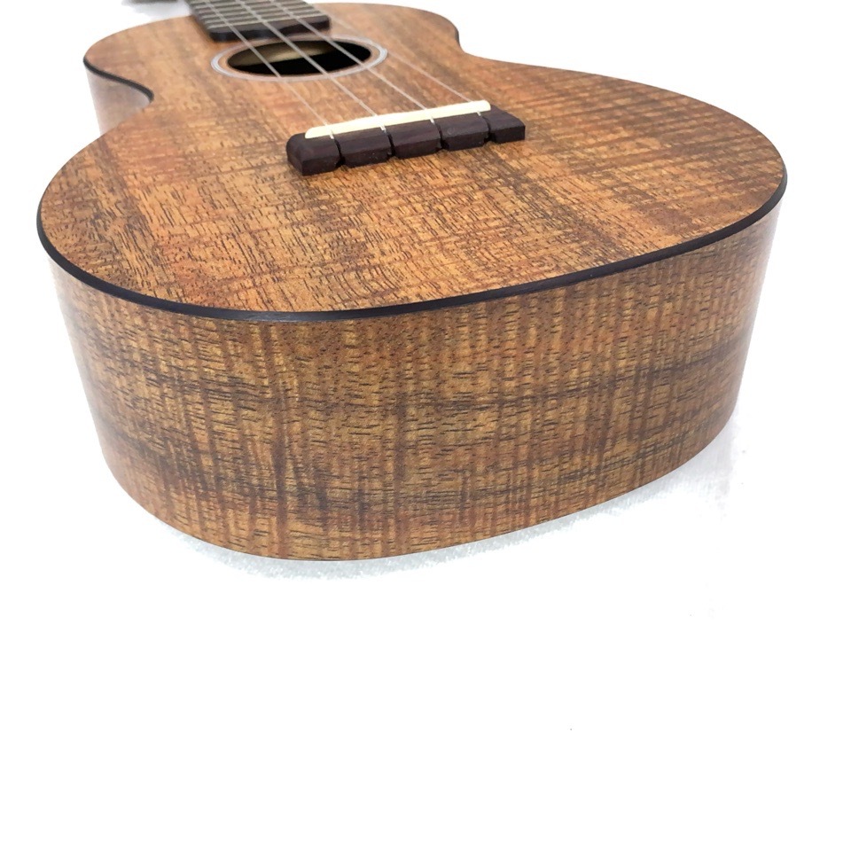 MartinOXK Concert #11251 󥵡ȥ(ڥ)