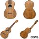 ��Martin��OXK Concert ���󥵡��ȥ�����