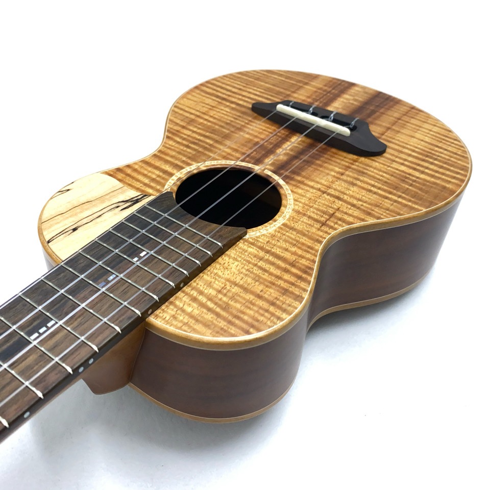 TODA GuitarsVC No.738 󥵡ȥ