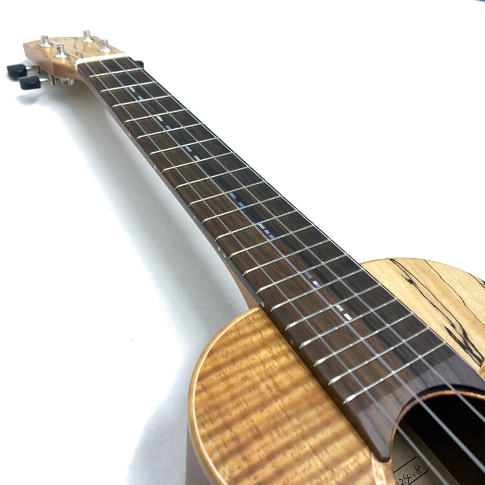 TODA GuitarsVC No.738 󥵡ȥ