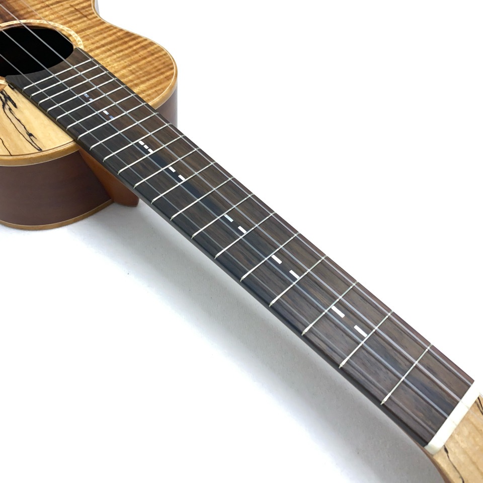 TODA GuitarsVC No.738 󥵡ȥ