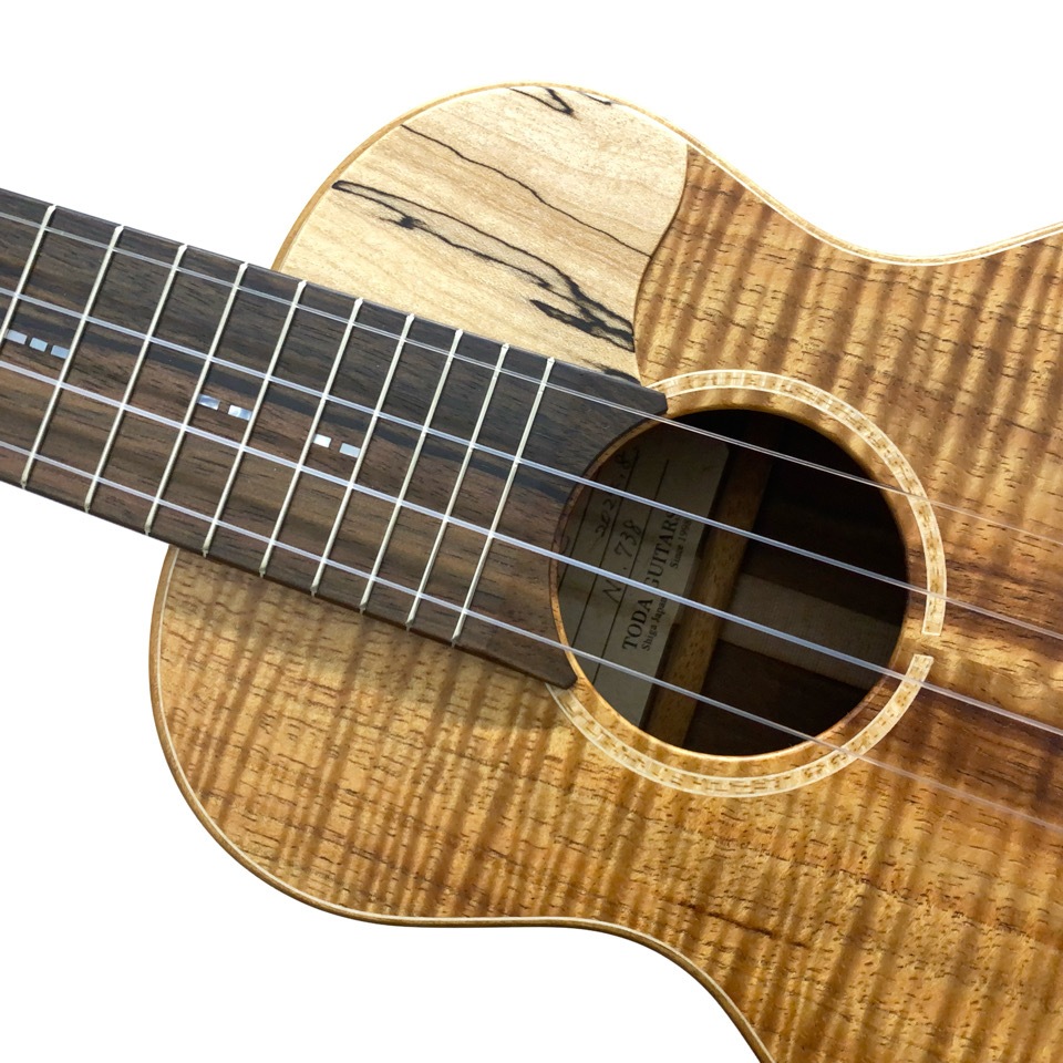 TODA GuitarsVC No.738 󥵡ȥ