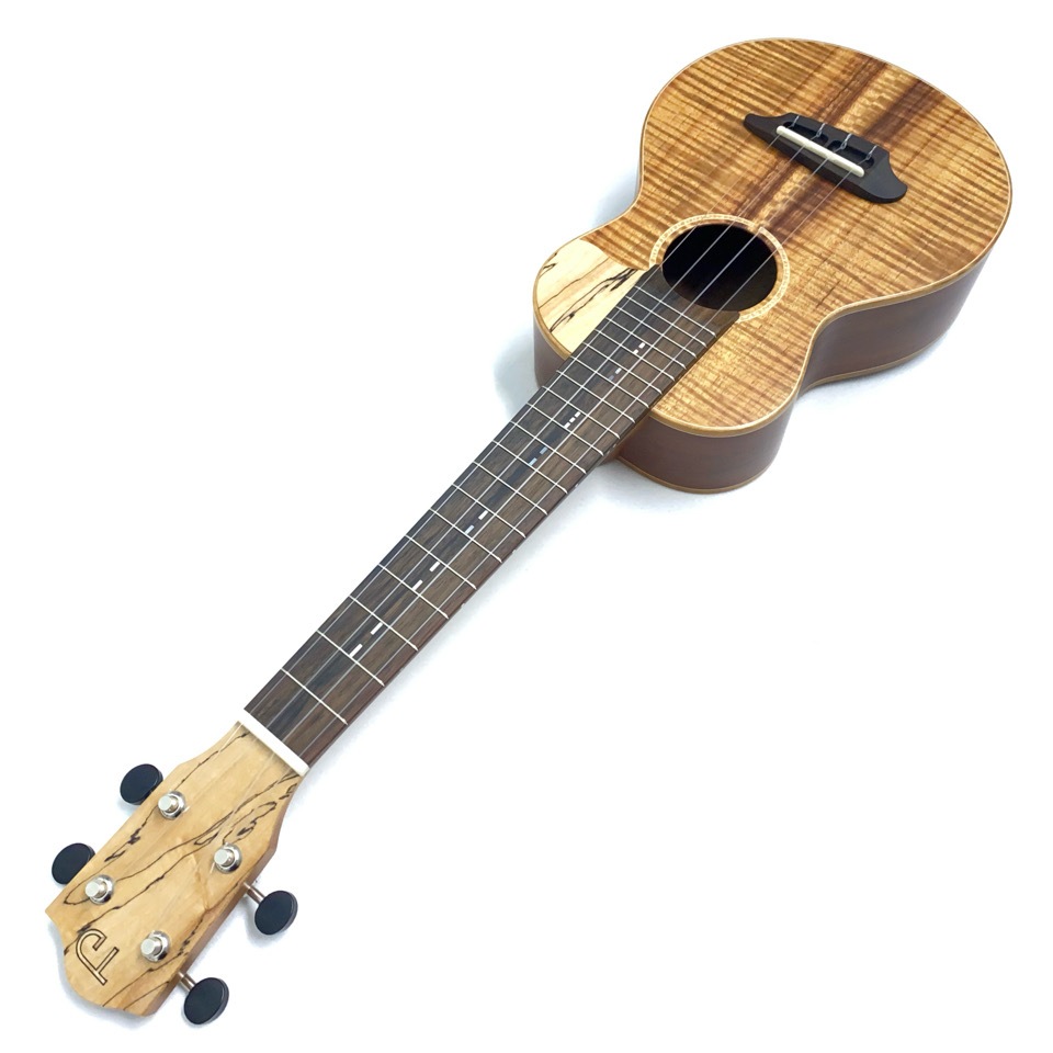 TODA GuitarsVC No.738 󥵡ȥ