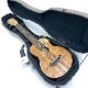 TODA GuitarsVC No.738 󥵡ȥ