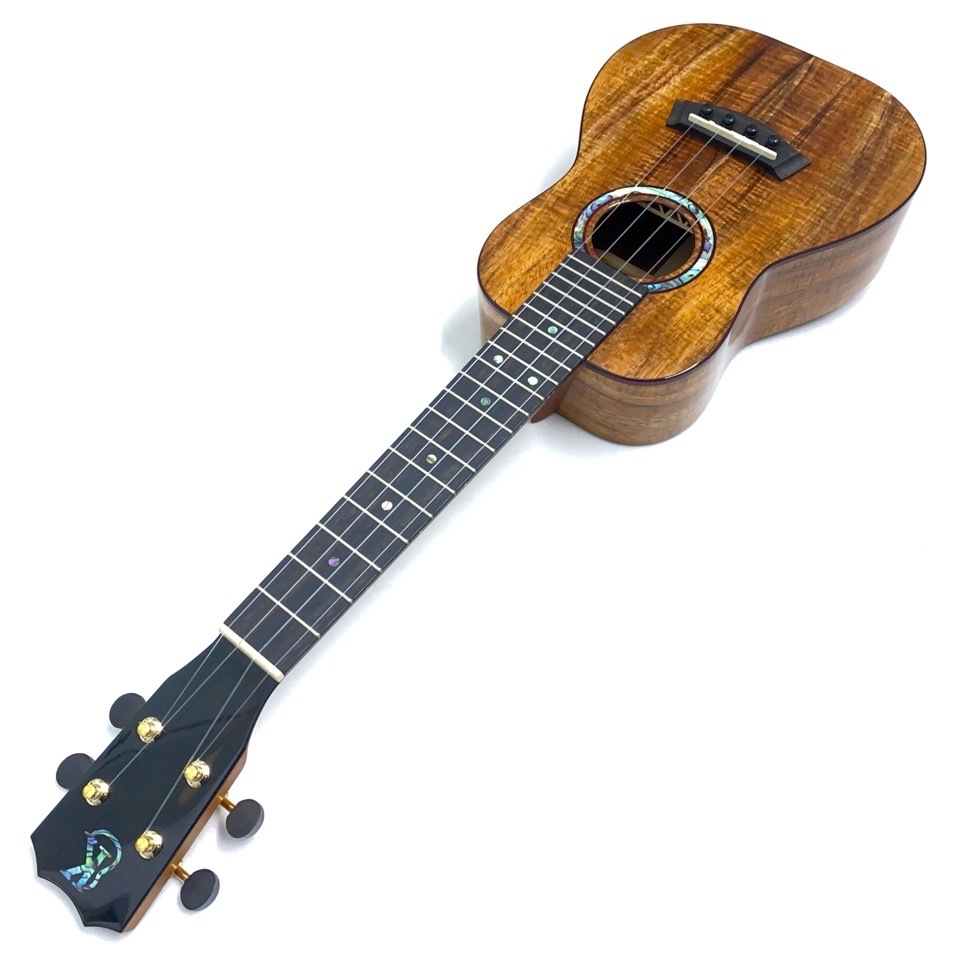 Kanile'aKPAC/MG #26896 󥵡ȥ
