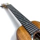 Kanile'aKPAC/MG #26896 󥵡ȥ