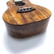 Kanile'aKPAC/MG #26896 󥵡ȥ