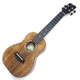 Kanile'aKPAC/MG #26896 󥵡ȥ