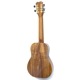 Kanile'aKPAC/MG #26896 󥵡ȥ