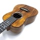 Kanile'aKPAC/MG #26896 󥵡ȥ