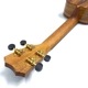 Kanile'aKPAC/MG #26896 󥵡ȥ