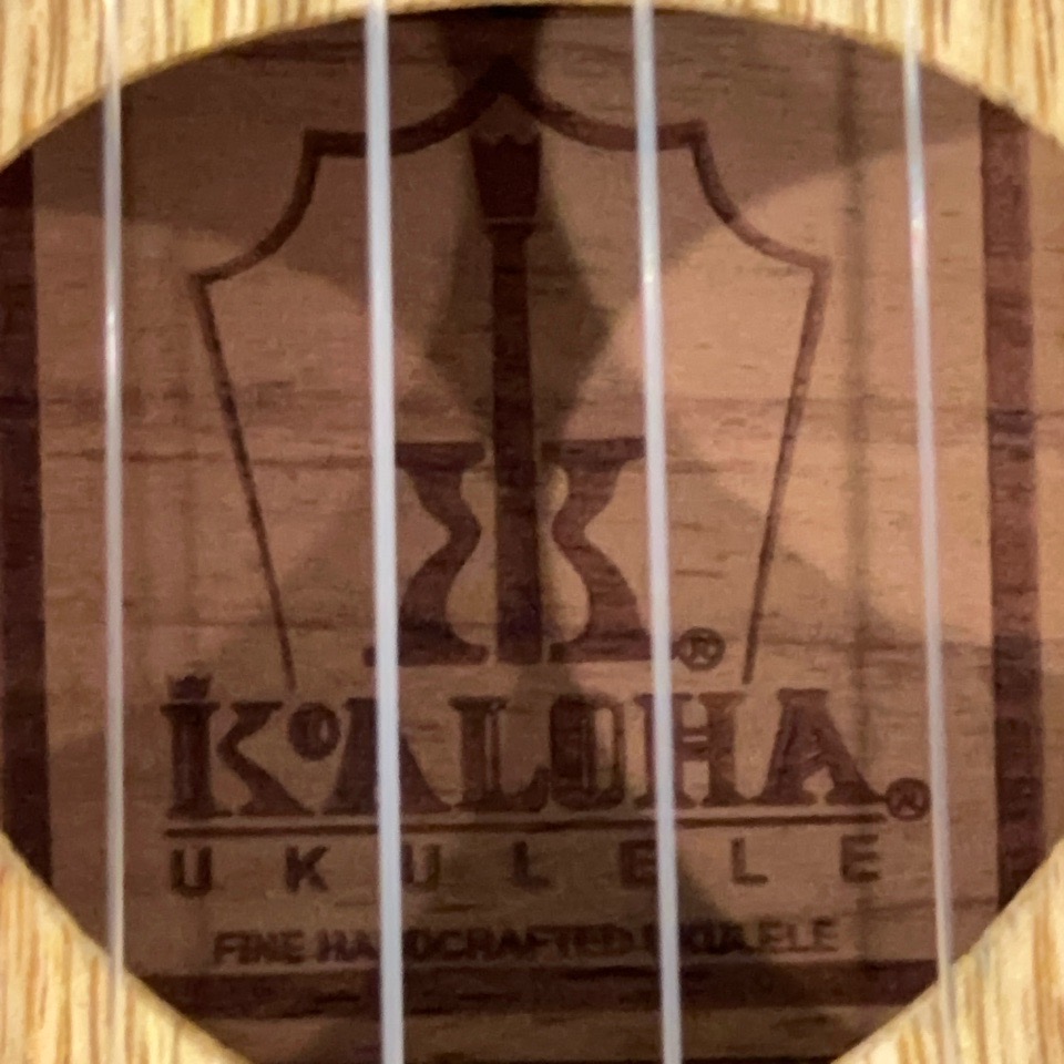 KoAlohaKSM-03RP/MG ץΥ󥰥ͥå