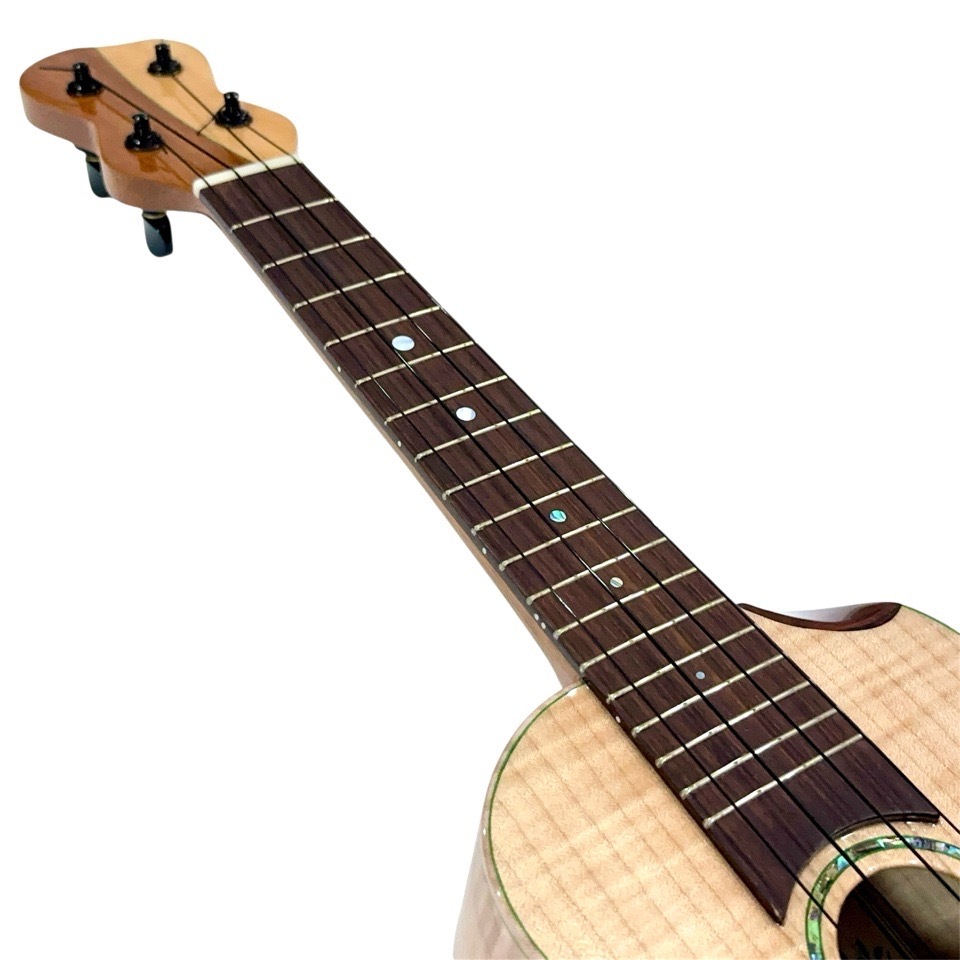Matsui UkulelePukka C #266 󥵡ȥ