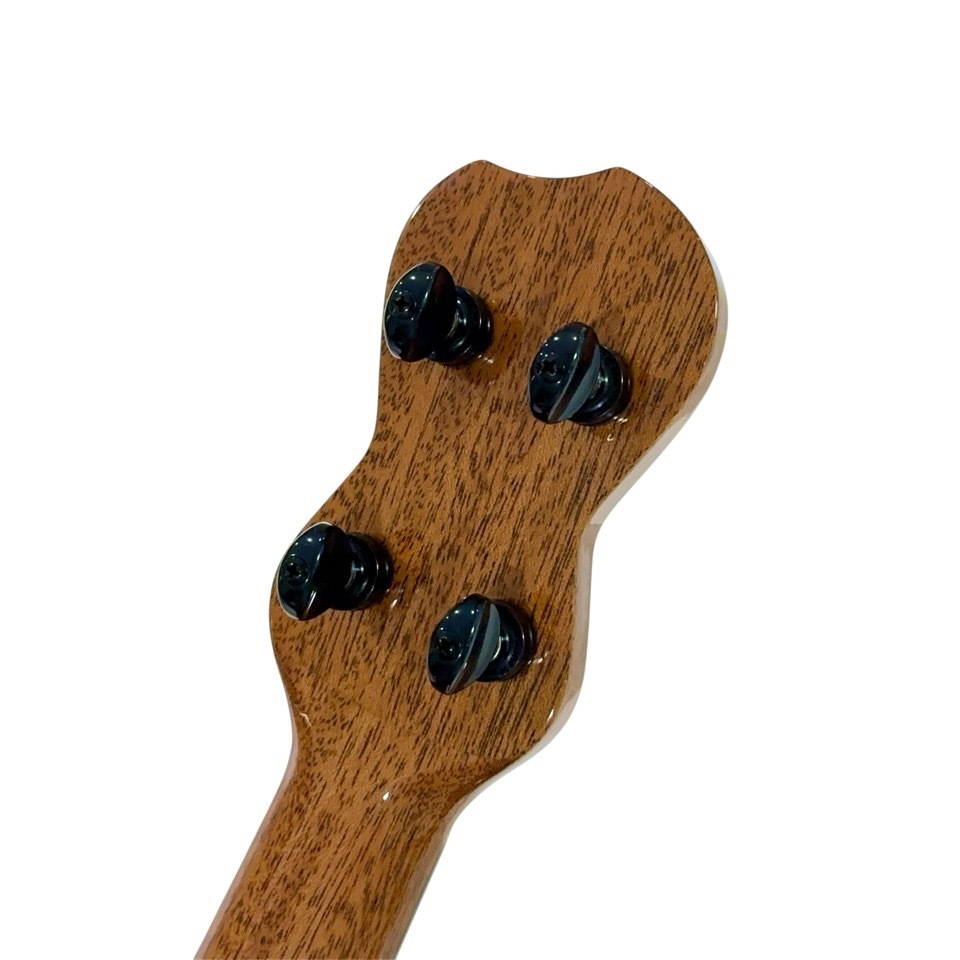 Matsui UkulelePukka C #266 󥵡ȥ