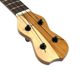 Matsui UkulelePukka C #266 󥵡ȥ