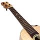 Matsui UkulelePukka C #266 󥵡ȥ