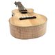 Matsui UkulelePukka C #266 󥵡ȥ