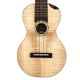 Matsui UkulelePukka C #266 󥵡ȥ