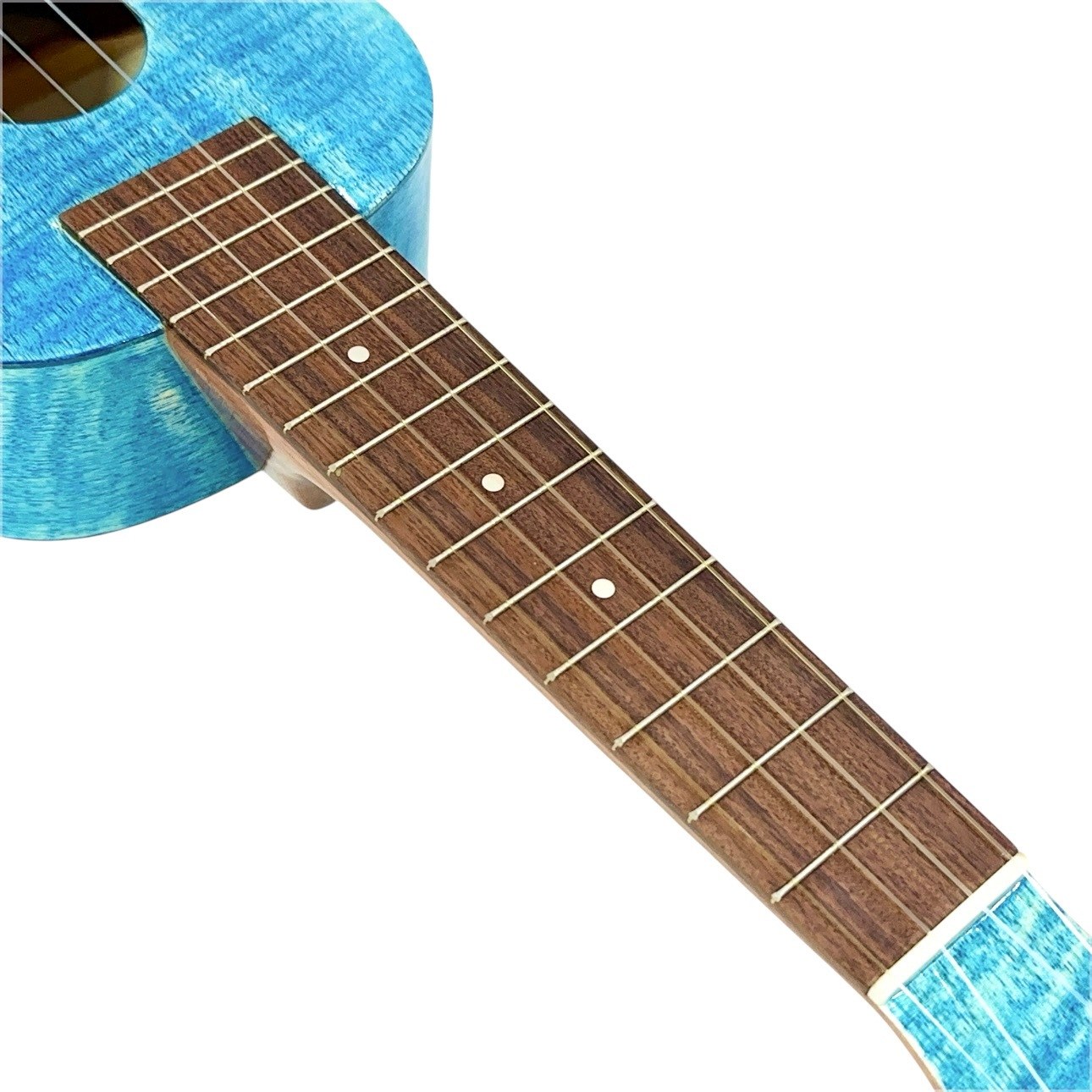 ��Famous��FS-S10/BL ���ץ�Υ�����