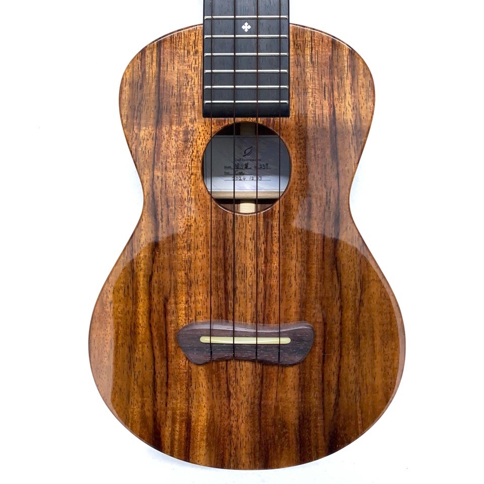 Leaf Instruments۾Ȥ No.237 󥵡ȥ