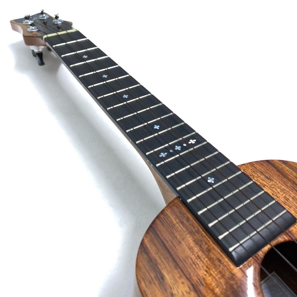 Leaf Instruments۾Ȥ No.237 󥵡ȥ