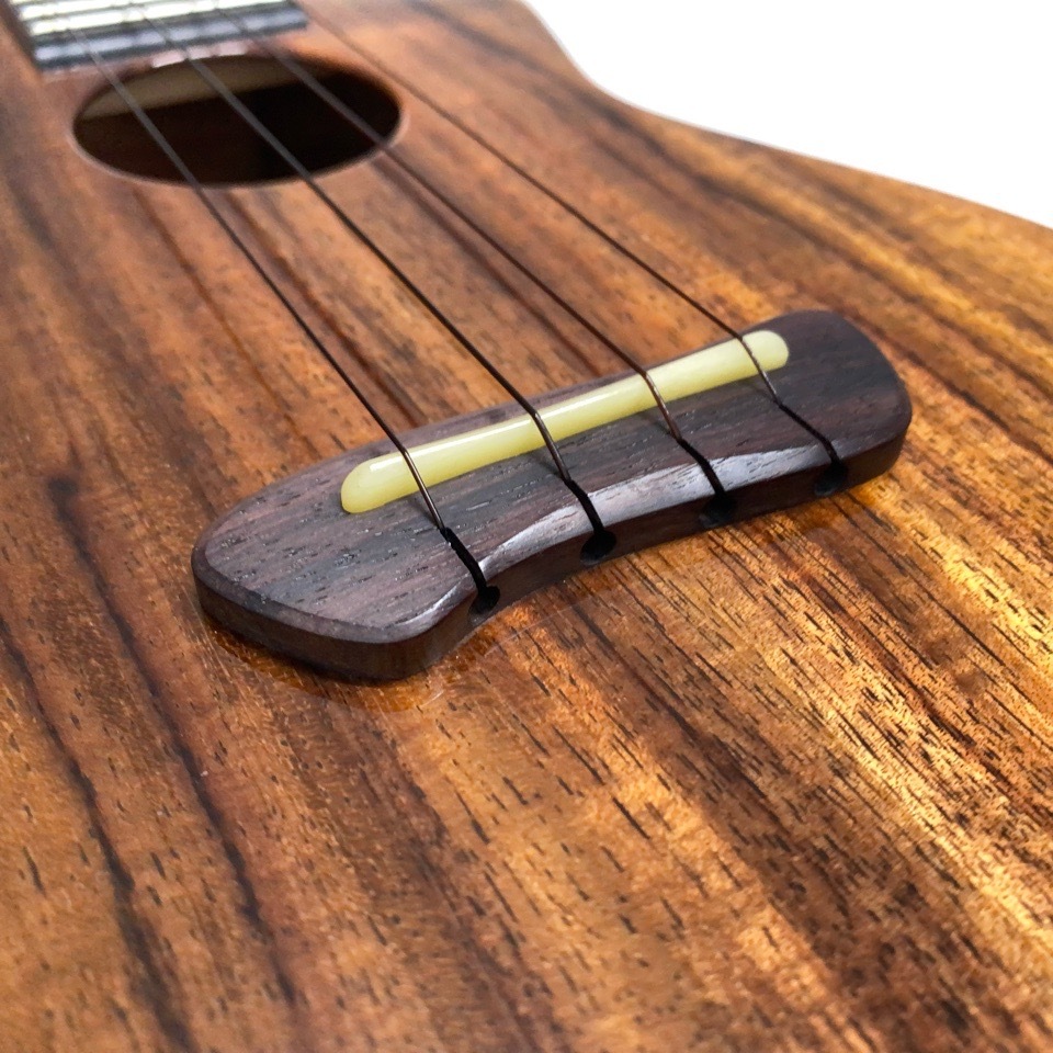 Leaf Instruments۾Ȥ No.237 󥵡ȥ