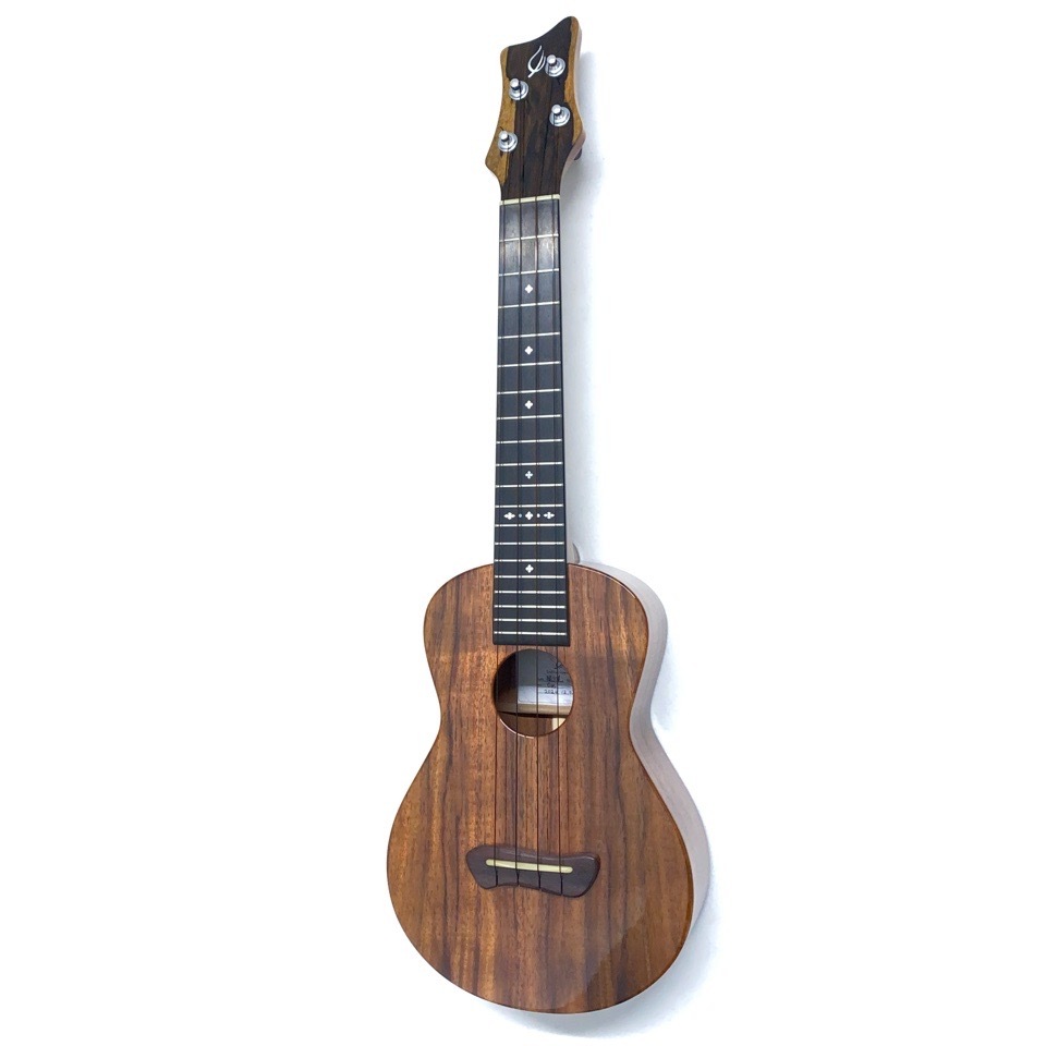 Leaf Instruments۾Ȥ No.237 󥵡ȥ