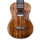 Leaf Instruments۾Ȥ No.237 󥵡ȥ