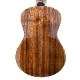 Leaf Instruments۾Ȥ No.237 󥵡ȥ