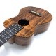 Leaf Instruments۾Ȥ No.237 󥵡ȥ