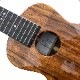 Leaf Instruments۾Ȥ No.237 󥵡ȥ