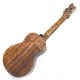 Leaf Instruments۾Ȥ No.237 󥵡ȥ