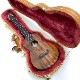 Leaf Instruments۾Ȥ No.237 󥵡ȥ