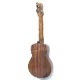 Leaf Instruments۾Ȥ No.237 󥵡ȥ