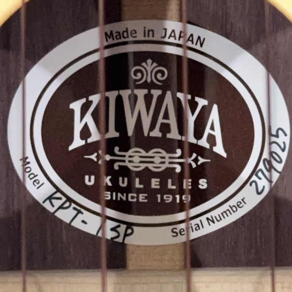 KIWAYAKPT-1SP/MATT ƥʡ