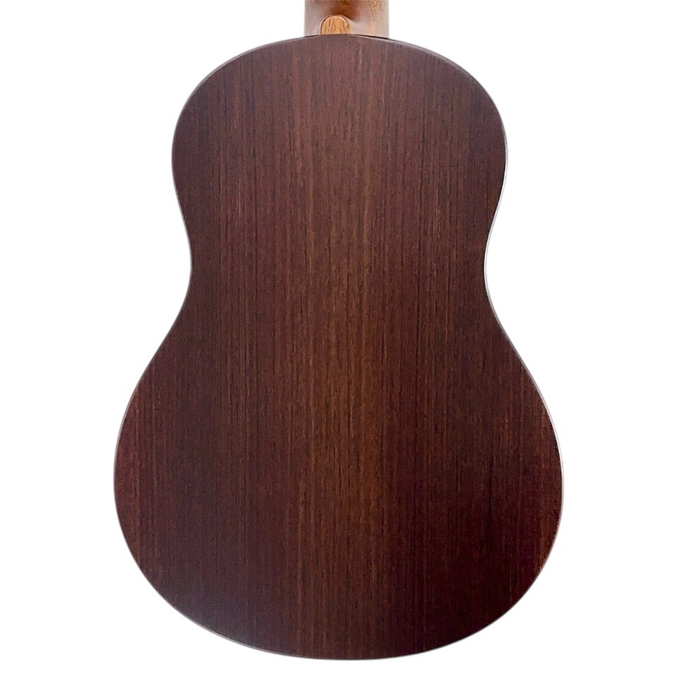 KIWAYAKPT-1SP/MATT ƥʡ