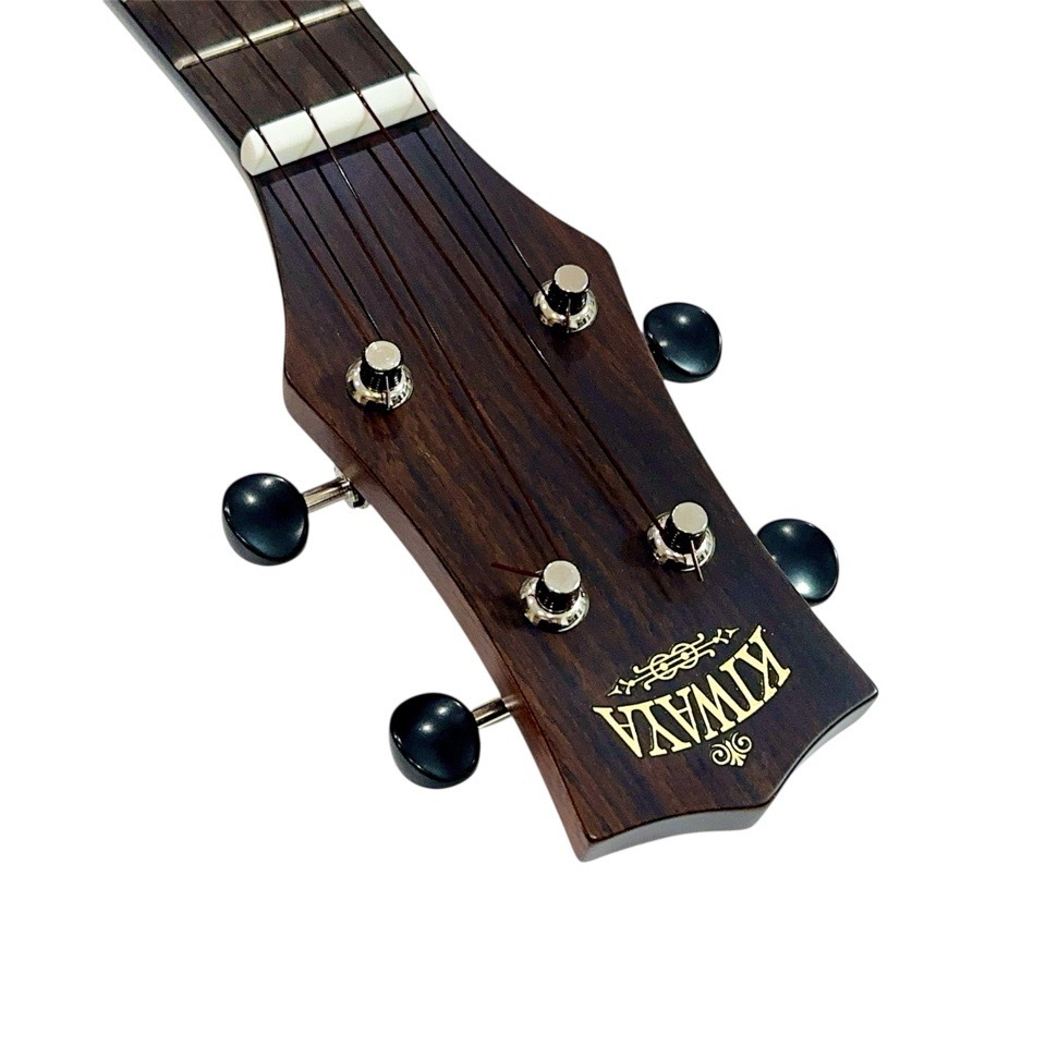 KIWAYAKPT-1SP/MATT ƥʡ