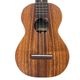 KIDA UkuleleWorks#102 󥵡ȥ
