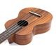KIDA UkuleleWorks#102 󥵡ȥ