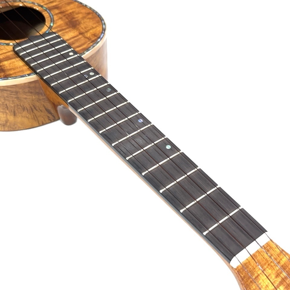 ��KIWAYA��KPT-5K �ƥʡ�������