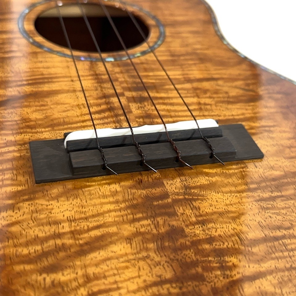 ��KIWAYA��KPT-5K �ƥʡ�������